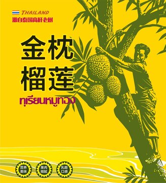 榴蓮包裝插畫