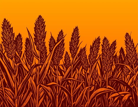 紅高粱插畫