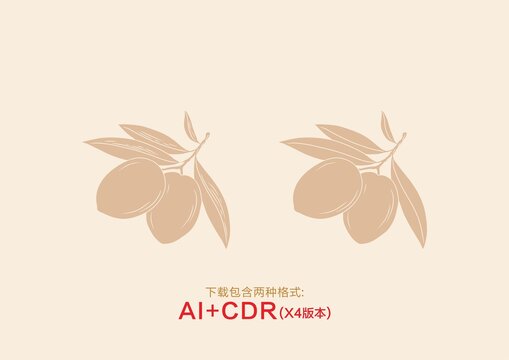 橄欖