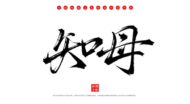 知母書法手寫中藥名稱字體素材