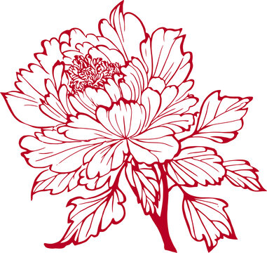 牡丹花刻紙剪紙紋樣矢量圖eps格式