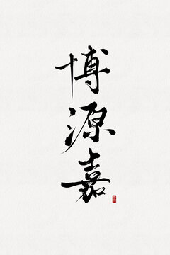 博源嘉