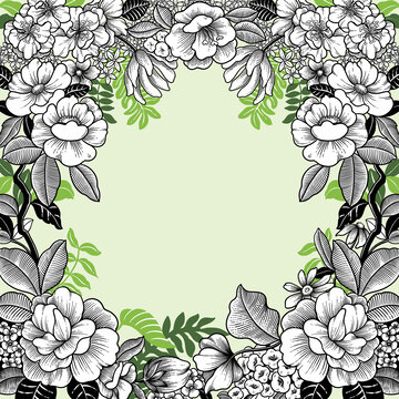 線描花卉手繪插畫