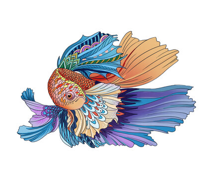 魚