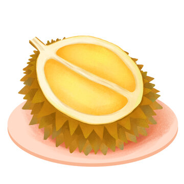 手繪榴蓮水果素材免扣元素插畫