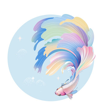 魚