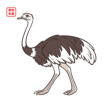 矢量插圖動(dòng)物鴕鳥(niǎo)