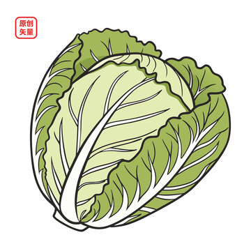 矢量插圖蔬菜一棵卷心菜