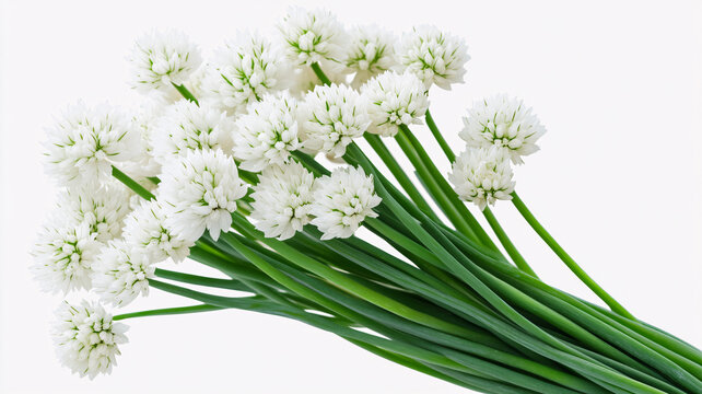 蔥花