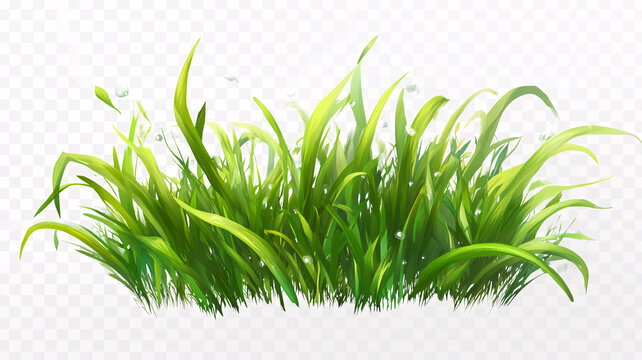 小草素材下載