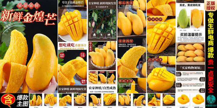 金煌芒詳情頁
