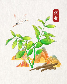 沉香插畫