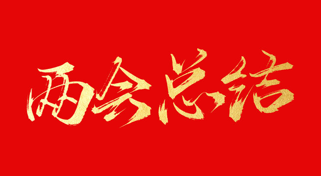 兩會(huì)總結(jié)