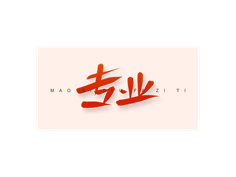 專業(yè)書法字