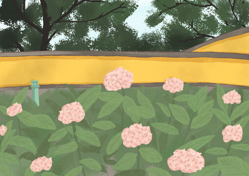 無(wú)盡夏繡球花