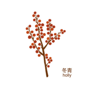 手繪冬青