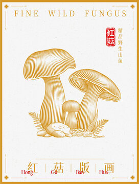 紅菇版畫插畫手繪