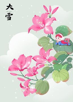 小清新二十四節(jié)氣紅花羊蹄甲紫荊花大雪