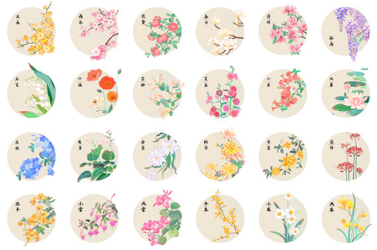 二十四節(jié)氣與花集合
