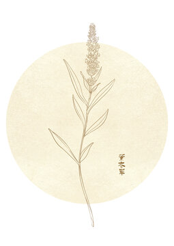 薰衣草線描寫(xiě)意中國(guó)風(fēng)