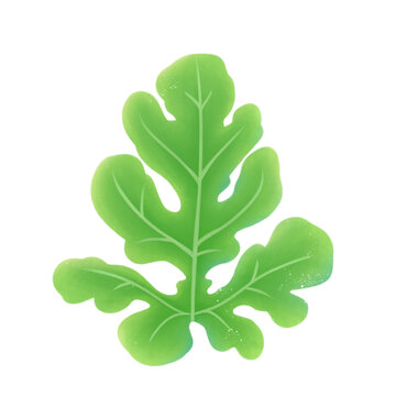葉子綠色植物