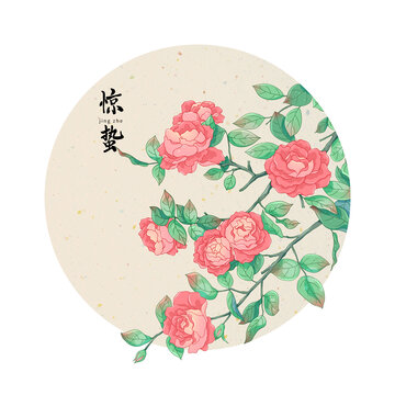二十四節(jié)氣驚蟄月季