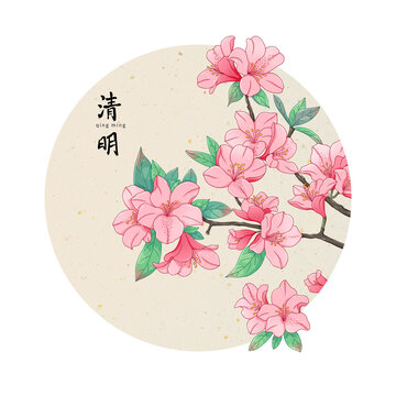 二十四節(jié)氣清明杜鵑花