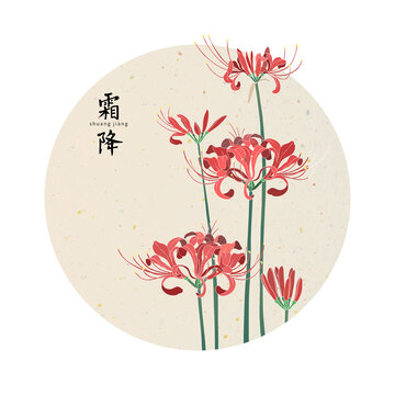 二十四節氣霜降彼岸花