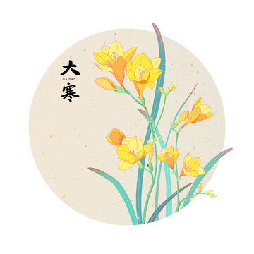 二十四節(jié)氣大寒香雪蘭