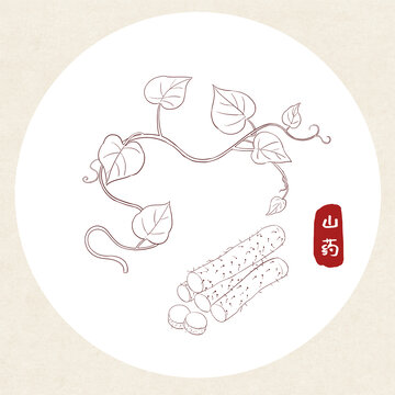 山藥插畫線稿