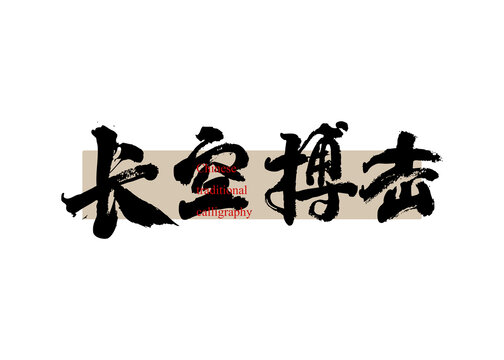 長空搏擊
