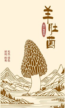 羊肚菌包裝插畫