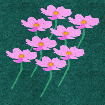 太陽花