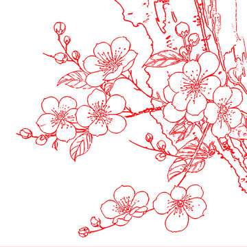 梅花花朵手繪插圖素描底紋包裝設(shè)計矢量圖