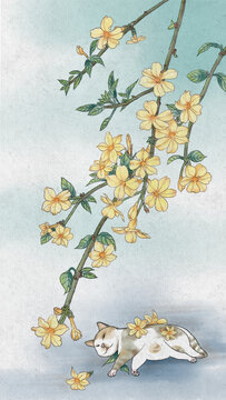迎春花