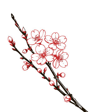 桃花花朵國(guó)畫線描素材eps格式