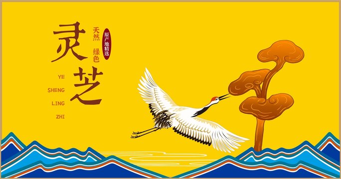 靈芝包裝插畫