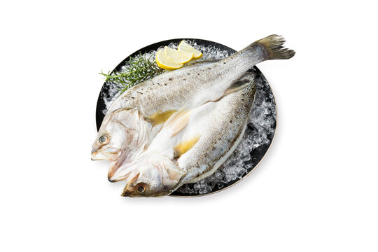 三去海鱸魚