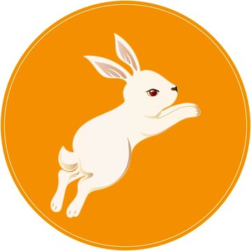 兔子