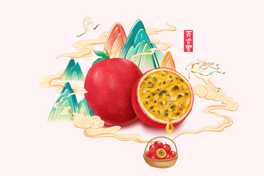 紫皮百香果插畫