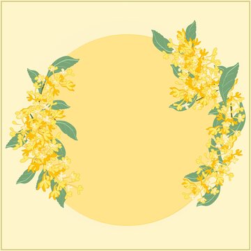 桂花