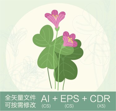 卡通可愛(ài)酢漿草花朵