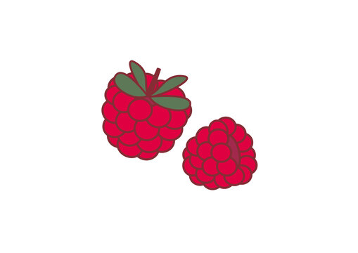 樹莓矢量插畫