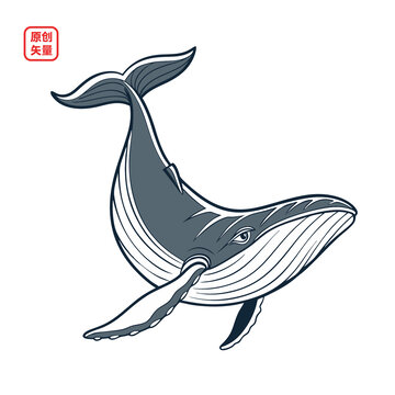矢量插圖動物海洋生物鯨魚