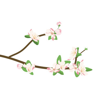 桃花免扣素材
