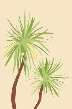 熱帶植物