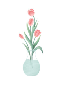 郁金香插畫