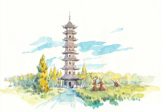 江蘇大豐中華麋鹿苑水彩畫
