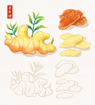 姜片糖插畫