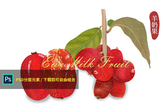 羊奶果